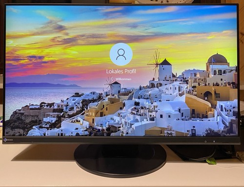 Monitor eizo flexscan - monitor,